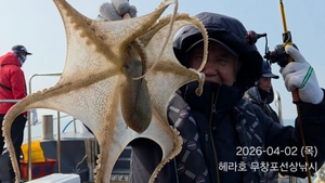4/2 헤라호 봄주꾸미낚시 선상낚시로 잡은 물고기 조황