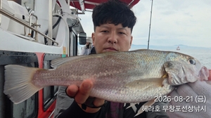 8/21 헤라호 왕백조기낚시 조황  선상낚시로 잡은 물고기 조황