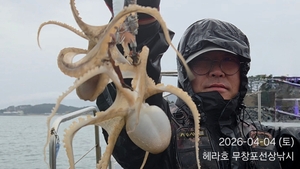 4/4 헤라호 봄주꾸미낚시 선상낚시로 잡은 물고기 조황