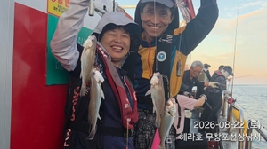 8/22 헤라호 왕백조기낚시 조황 선상낚시로 잡은 물고기 조황