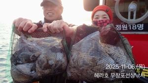 11/6 헤라호 주꾸미낚시 조황  선상낚시로 잡은 물고기 조황