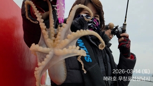 3/14 헤라호 봄주꾸미낚시 조황 선상낚시로 잡은 물고기 조황