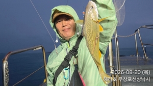 8/20 헤라호 왕백조기낚시 조황 선상낚시로 잡은 물고기 조황