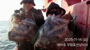 11/14 헤라호 주꾸미낚시 조황  선상낚시로 잡은 물고기 조황