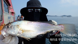 7/9 헤라호 왕백조기낚시 조황  선상낚시로 잡은 물고기 조황