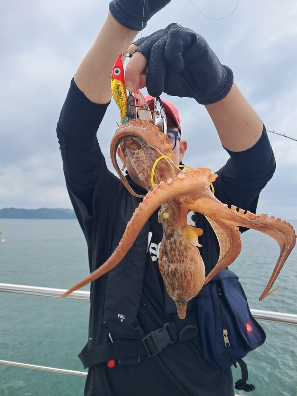 포인트피싱의 조황일지 이미지 - 10