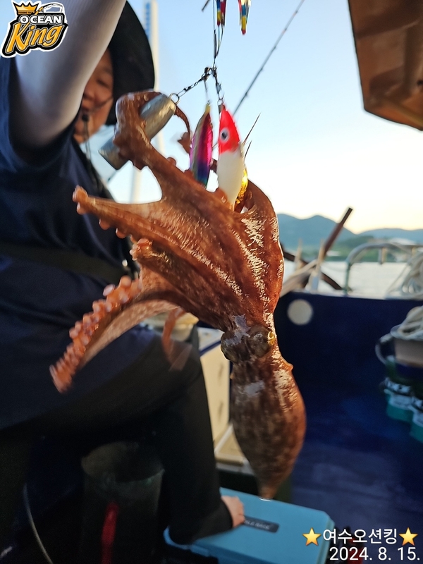 포인트피싱의 조황일지 이미지 - 2