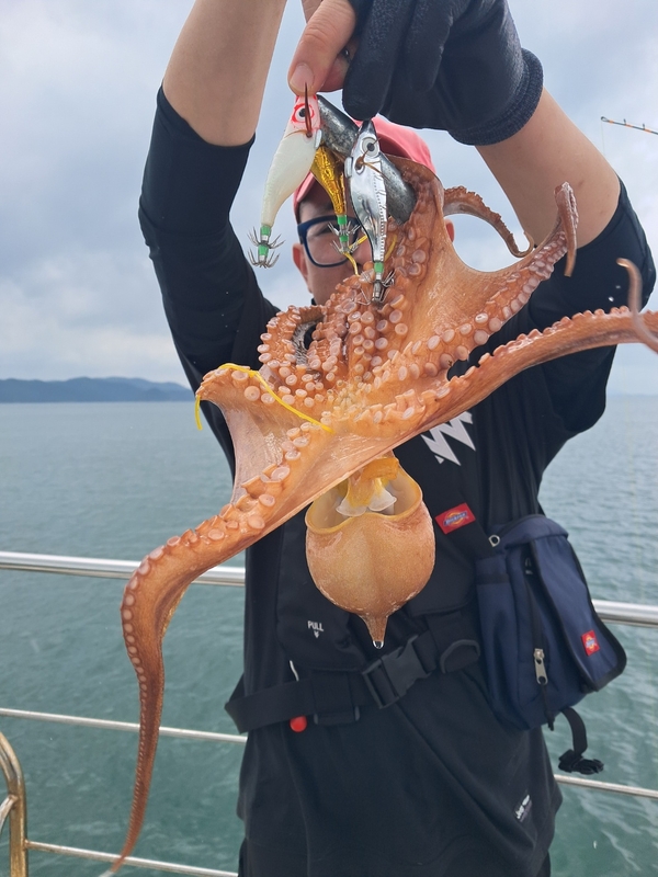 포인트피싱의 조황일지 이미지 - 8