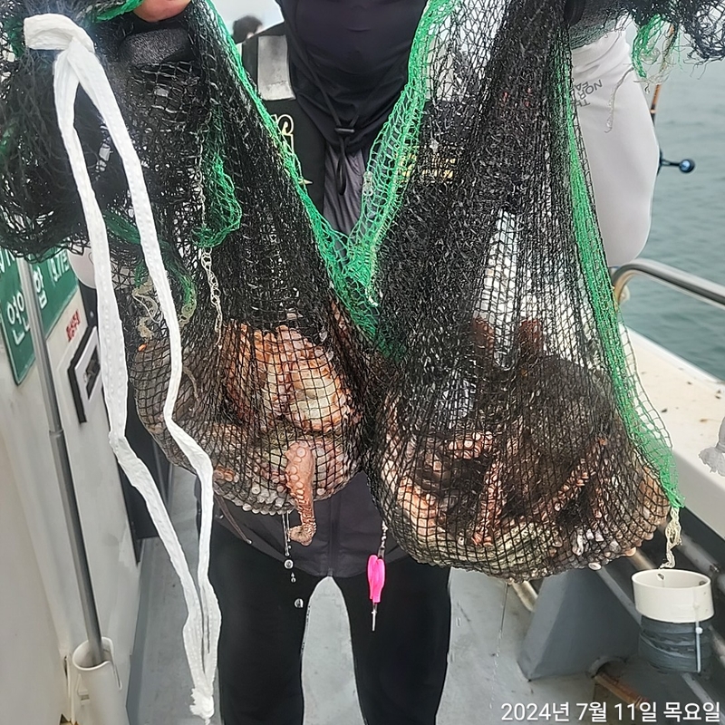 포인트피싱의 조황일지 이미지 - 2