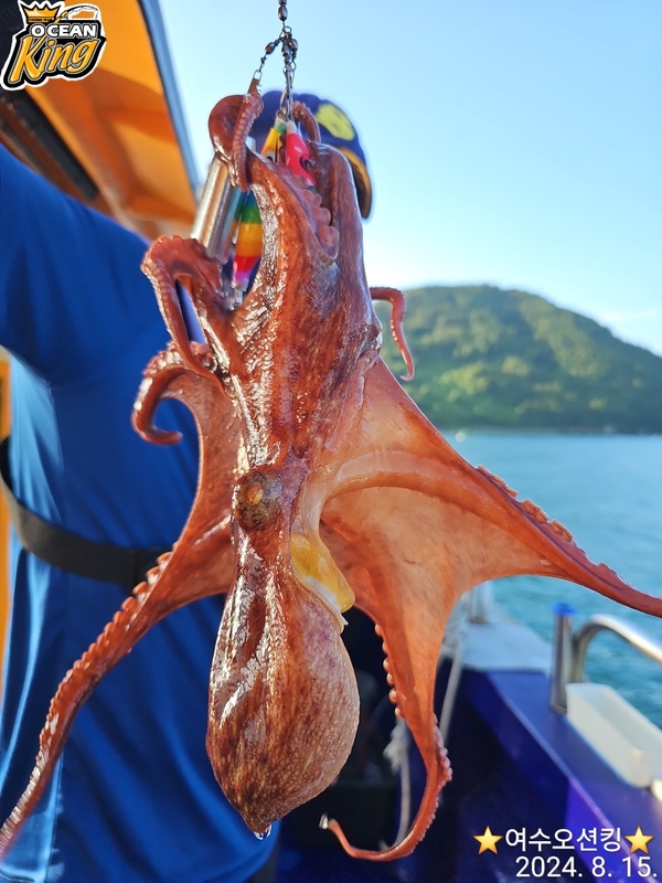 포인트피싱의 조황일지 이미지 - 1