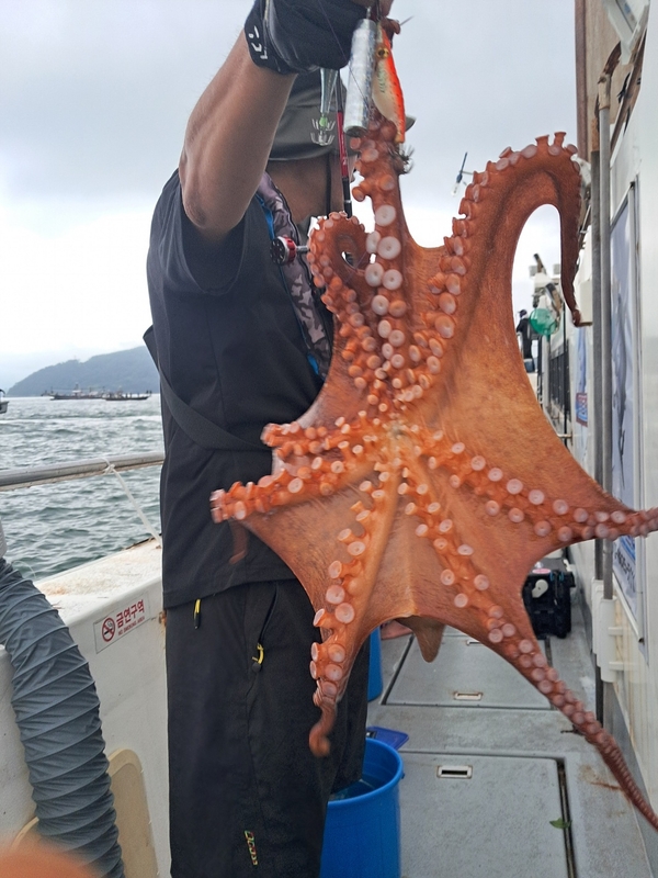 포인트피싱의 조황일지 이미지 - 1