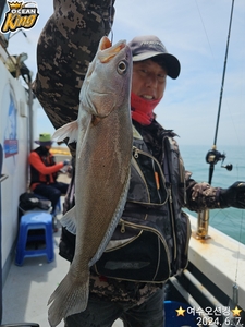 외수질 출조 선상낚시로 잡은 물고기 조황