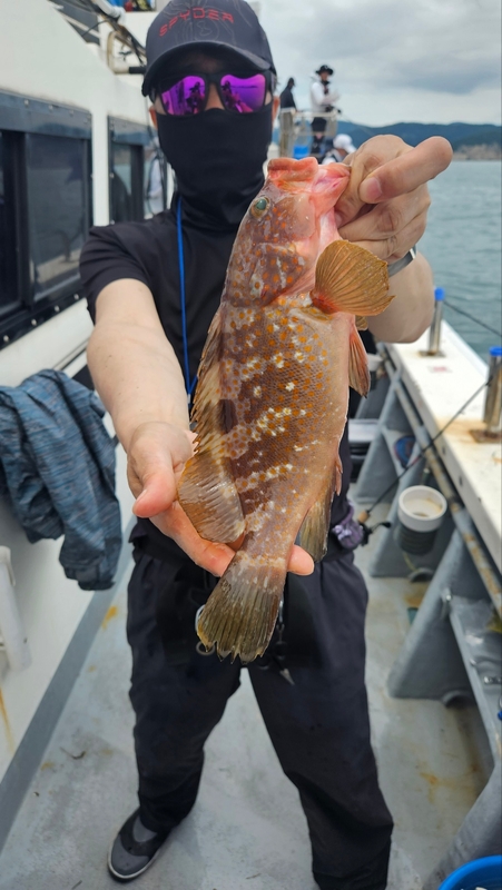 포인트피싱의 조황일지 이미지 - 3