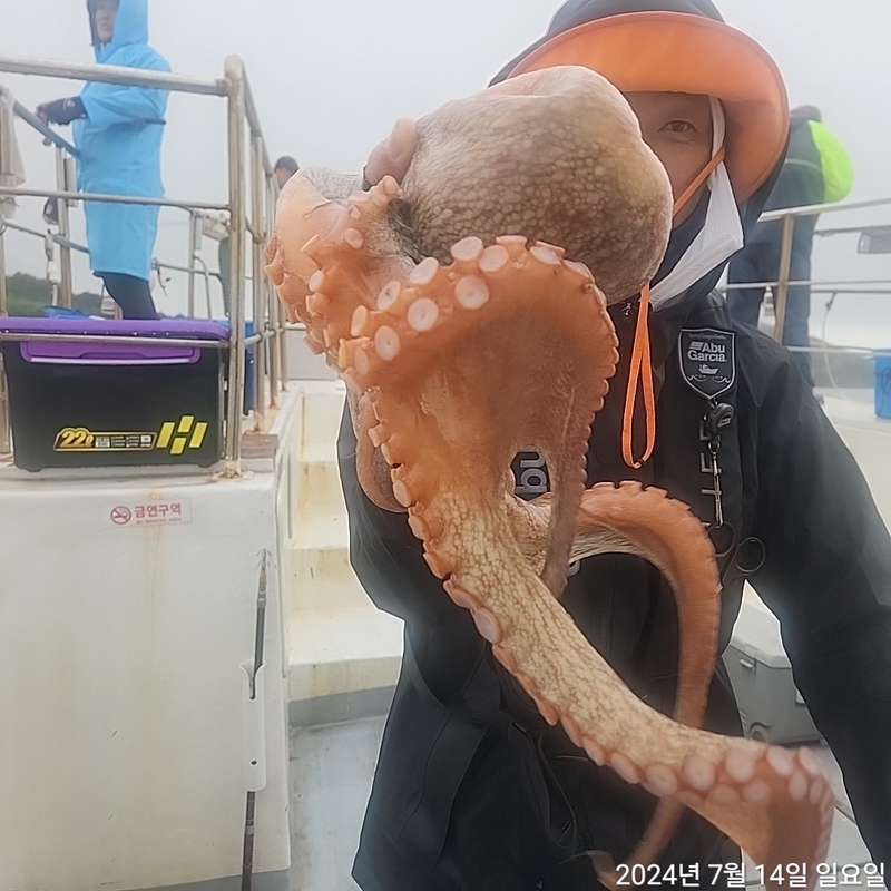 포인트피싱의 조황일지 이미지 - 0