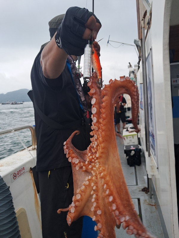 포인트피싱의 조황일지 이미지 - 5