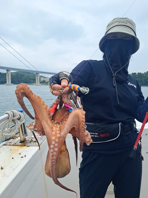 포인트피싱의 조황일지 이미지 - 7