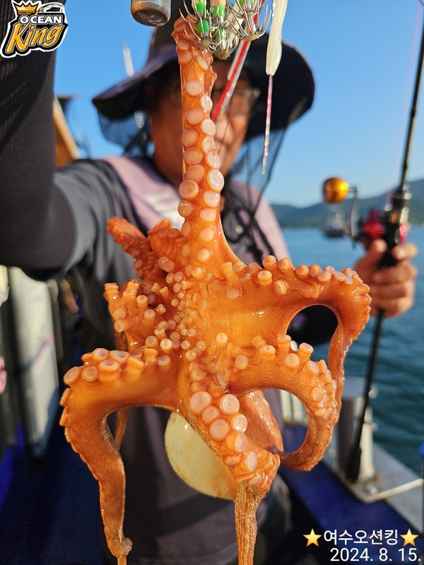 포인트피싱의 조황일지 이미지 - 0