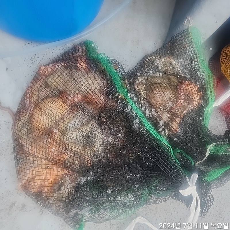 포인트피싱의 조황일지 이미지 - 1