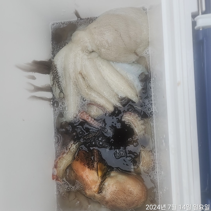 포인트피싱의 조황일지 이미지 - 2