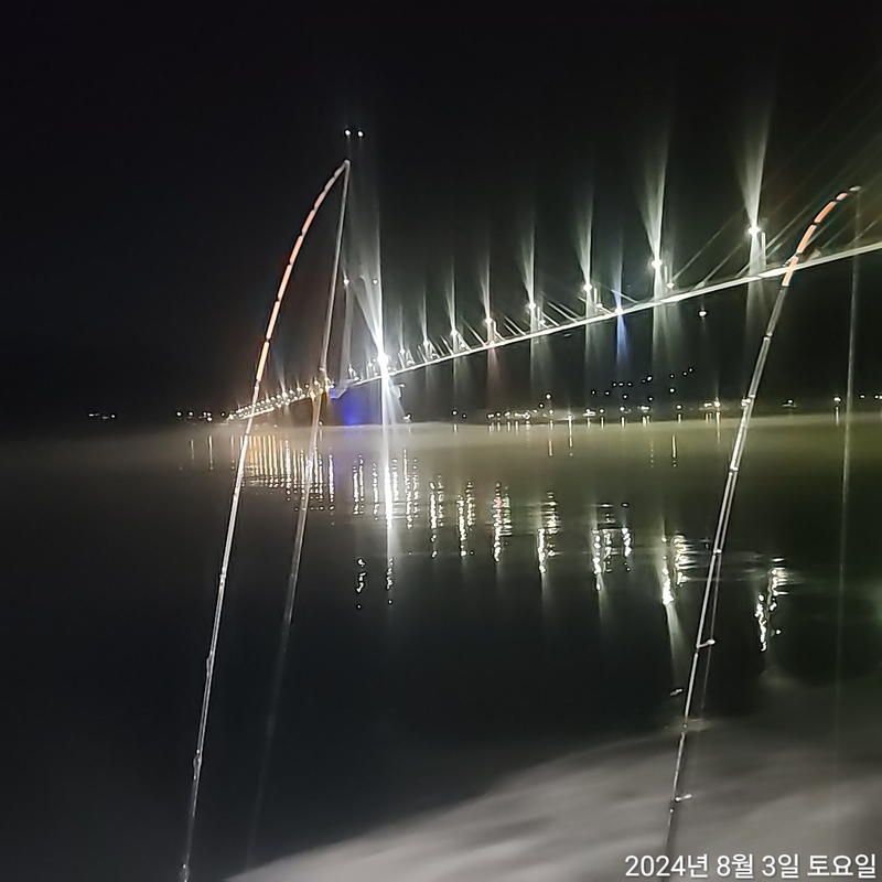 포인트피싱의 조황일지 이미지 - 1