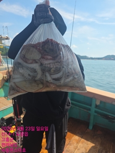 8월23일 팀보스선단 문어,갈치 조황 선상낚시로 잡은 물고기 조황
