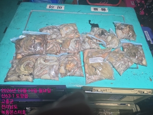 10월19일 팀보스선단 야간문어 조황 선상낚시로 잡은 물고기 조황