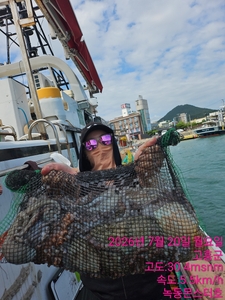 7월20일 팀보스선단 문어조황 선상낚시로 잡은 물고기 조황