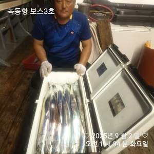 9월2일 팀보스선단 갈치 전원 만쿨 선상낚시로 잡은 물고기 조황