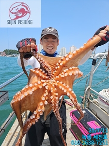 7월12일 팀보스선단 문어조황 선상낚시로 잡은 물고기 조황