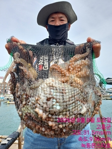 8월8일 팀보스선단 문어 조황 선상낚시로 잡은 물고기 조황