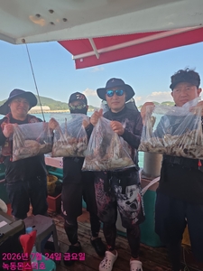 7월24일 팀보스선단 문어 조황 선상낚시로 잡은 물고기 조황