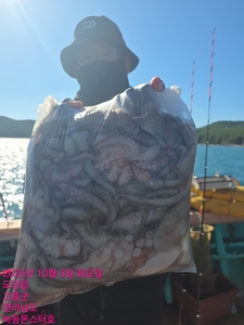 10월6일 팀보스선단 문어조황 선상낚시로 잡은 물고기 조황