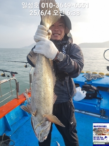6.4일 대물민어조황 선상낚시로 잡은 물고기 조황