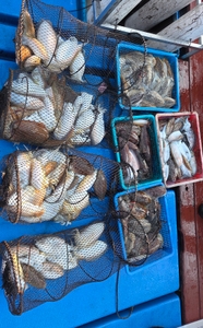 제주리틀자이언트호 2월28일 갑이조황! 선상낚시로 잡은 물고기 조황