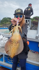 제주 리틀자이언트호 8일 오후반 무늬팁런조황!! 선상낚시로 잡은 물고기 조황