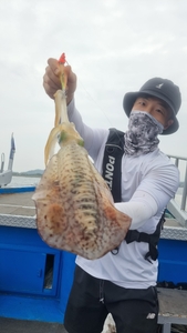 제주 리틀자이언트호 8일 오전반 무늬팁런조황! 선상낚시로 잡은 물고기 조황