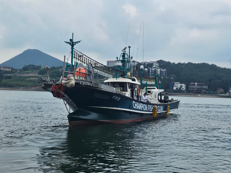 해당 선사를 대표하는 이미지