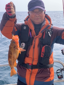 황열기 대구  선상낚시로 잡은 물고기 조황