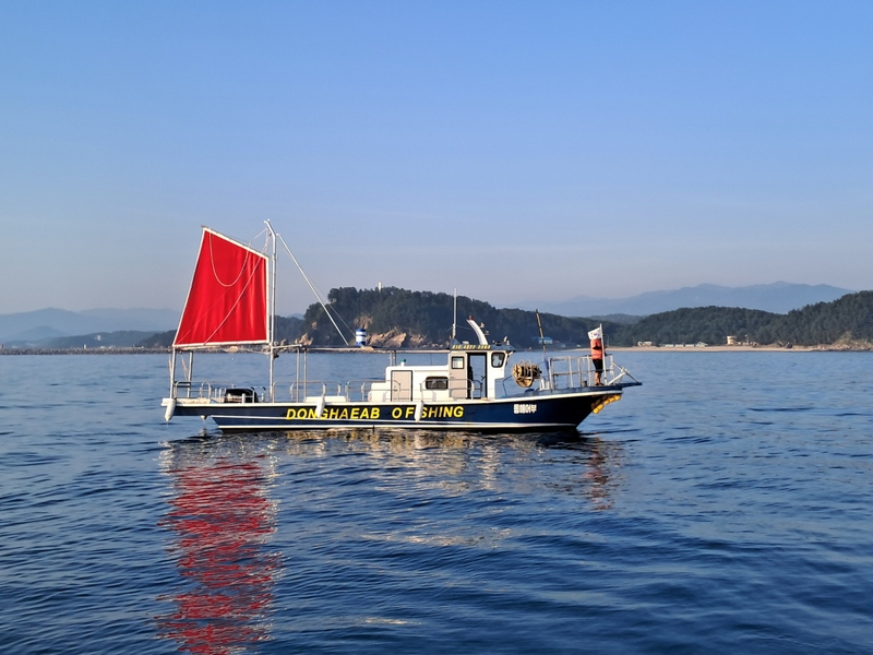 해당 선사를 대표하는 이미지