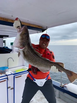 실시간 예약이 가능한 바다 위에 떠있는 동해어부호 낚시 선박