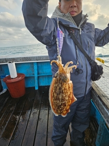 2/5 제주쏘니호 갑오징어 조황 선상낚시로 잡은 물고기 조황