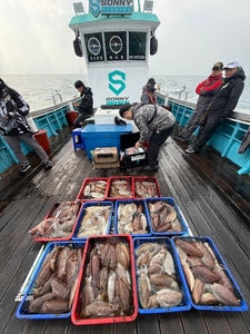 3/29 제주쏘니호 갑오징어 조황 선상낚시로 잡은 물고기 조황