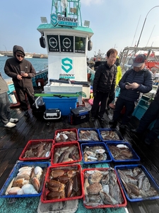 3/9 오늘도 갑이 풍년! 제주쏘니호 갑오징어 조황 선상낚시로 잡은 물고기 조황