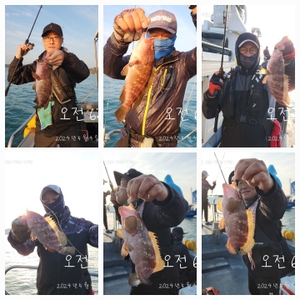 붉바리 외수질 선상낚시로 잡은 물고기 조황