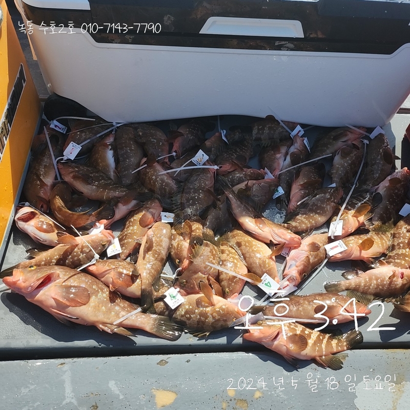 녹동수호2호의 조황일지 이미지 - 0