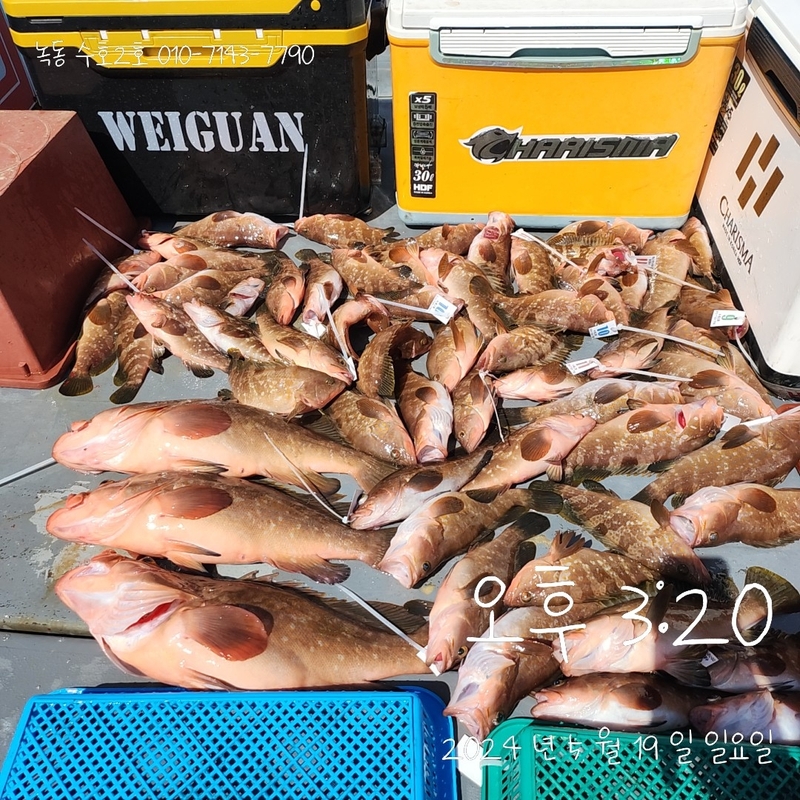 녹동수호2호의 조황일지 이미지 - 0