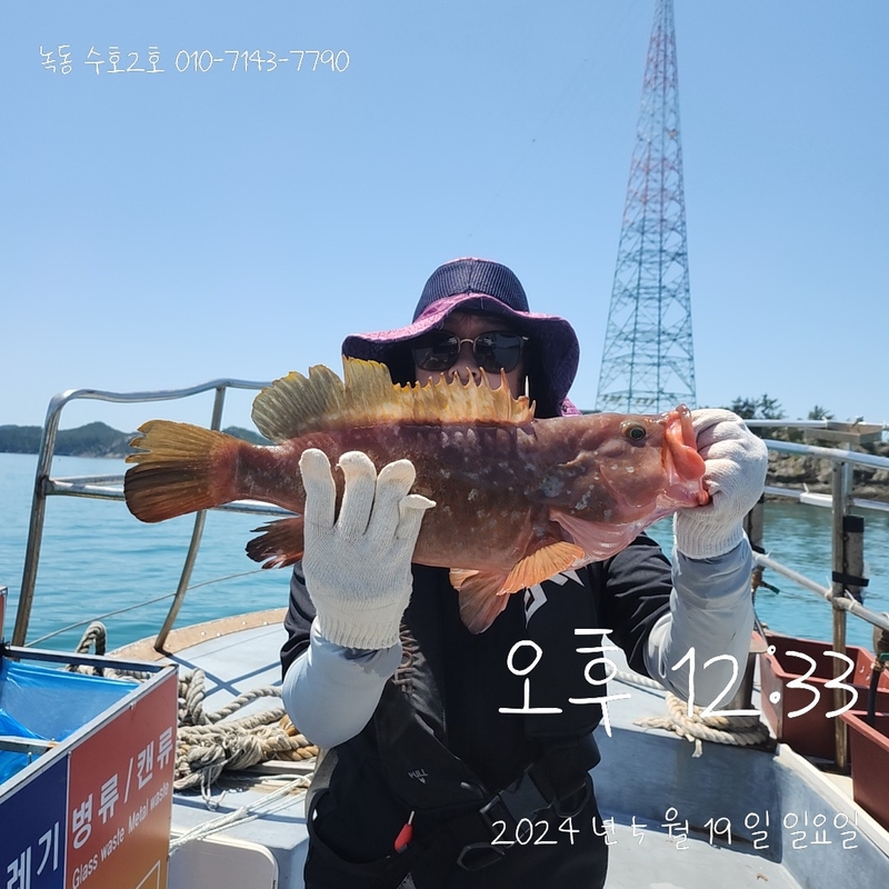 녹동수호2호의 조황일지 이미지 - 3