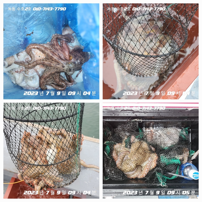 녹동수호2호의 조황일지 이미지 - 0