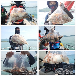 2024년 7월 12일 (금) 돌문어조황 선상낚시로 잡은 물고기 조황