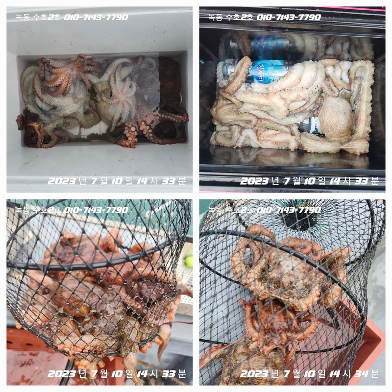 녹동수호2호의 조황일지 이미지 - 0